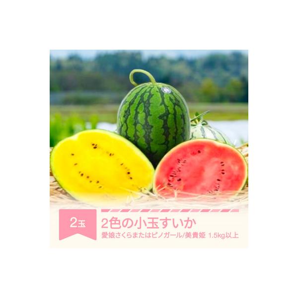 ■お礼品詳細　・配送種別：通常■お申し込み・配送・その他　・発送時期：2026-07-15〜2026-07-31（お届け時間帯指定可）　・申込受付期間：〜2026-07-10　・配達外のエリア：離島、沖縄県　・寄付証明書の送付時期目安：申込...