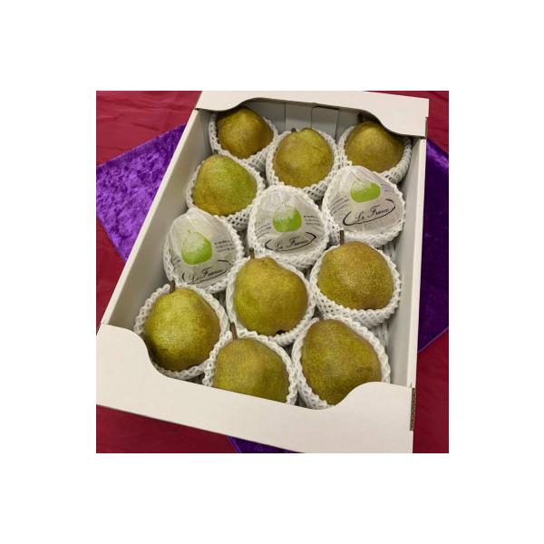 ■お礼品詳細　・配送種別：通常■お申し込み・配送・その他　・発送時期：2026-11-02〜2026-12-25（お届け時間帯指定可）　・申込受付期間：〜2026-11-30　・配達外のエリア：離島、沖縄県　・寄付証明書の送付時期目安：申込...