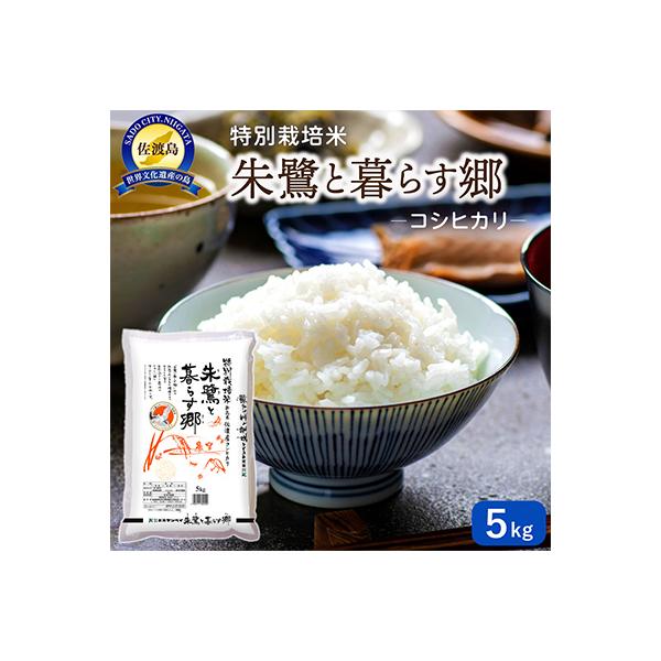 ふるさと納税 佐渡市 佐渡島産コシヒカリ「朱鷺と暮らす郷」精米