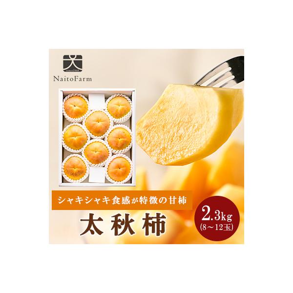 ふるさと納税 山梨市 やまなし内藤農園の太秋柿 2.3kg