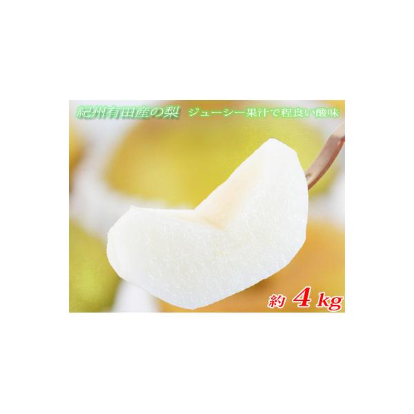 ■お礼品詳細　・配送種別：通常■お申し込み・配送・その他　・発送時期：2026-08-11〜2026-09-10（お届け時間帯指定可）　・申込受付期間：2025-09-20〜2026-08-25　・配達外のエリア：離島、北海道、沖縄県　・寄...