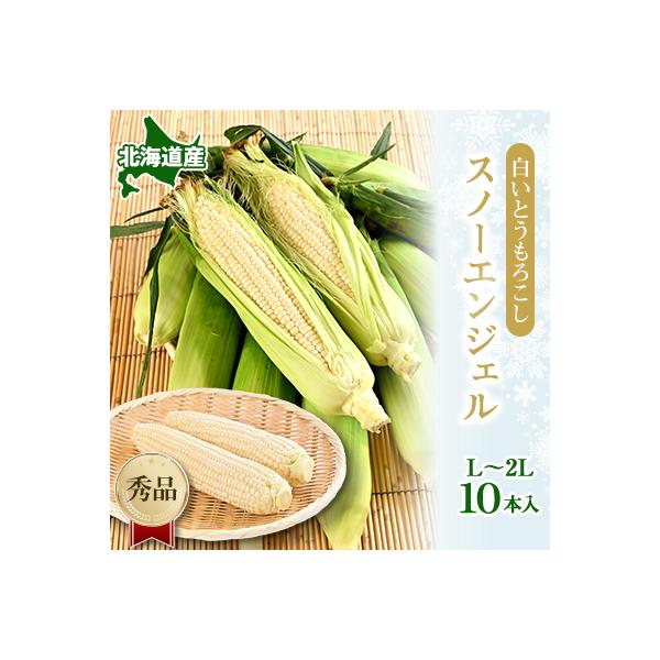 ■お礼品詳細　・配送種別：冷蔵便■お申し込み・配送・その他　・発送時期：2026-08-04〜2026-09-30（お届け時間帯指定可）　・申込受付期間：〜2026-09-08　・配達外のエリア：離島　・寄付証明書の送付時期目安：申込完了日...