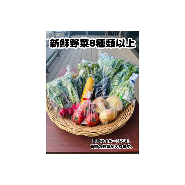 ■お礼品詳細　・配送種別：冷蔵便■お申し込み・配送・その他　・発送時期：お申込みから3週間程度で順次発送予定（お届け時間帯指定可）　・申込受付期間：通年　・配達外のエリア：離島、北海道、沖縄県　・寄付証明書の送付時期目安：申込完了日から２週...
