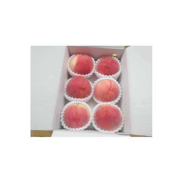 ■お礼品詳細　・配送種別：冷蔵便■お申し込み・配送・その他　・発送時期：2026-07-05〜2026-08-05（お届け時間帯指定可）　・申込受付期間：〜2026-06-30　・配達外のエリア：離島、沖縄県　・寄付証明書の送付時期目安：申...