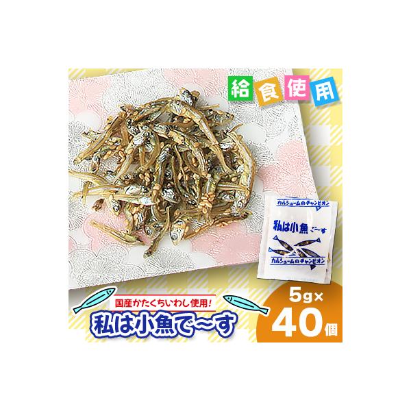 ふるさと納税 下仁田町 給食使用で安心の私は小魚でーす 5g×40個