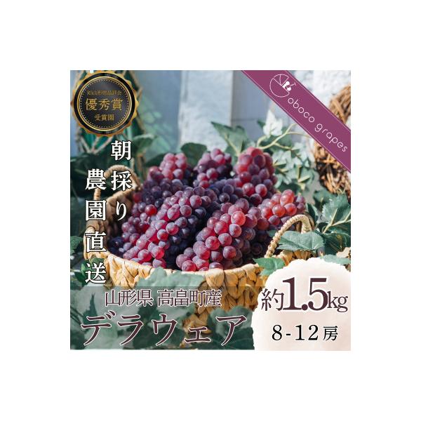 ■お礼品詳細　・配送種別：冷蔵便■お申し込み・配送・その他　・発送時期：2026-08-01〜2026-08-31（お届け時間帯指定可）　・申込受付期間：〜2026-08-15　・配達外のエリア：離島　・寄付証明書の送付時期目安：申込完了日...