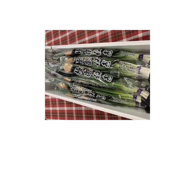 ■お礼品詳細　・配送種別：通常■お申し込み・配送・その他　・発送時期：2023/08/15〜2033/12/31（お届け時間帯指定可）　・申込受付期間：通年　・配達外のエリア：離島　・寄付証明書の送付時期目安：申込完了日から２ヵ月程度　・提...