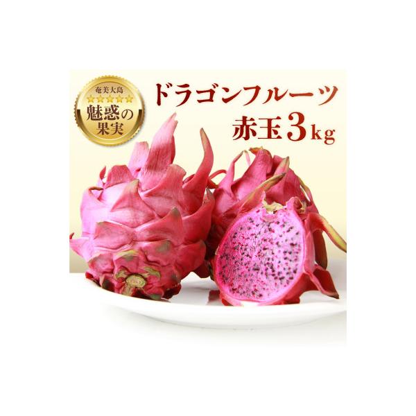 ふるさと納税 奄美市 奄美産ドラゴンフルーツ 赤玉3kg