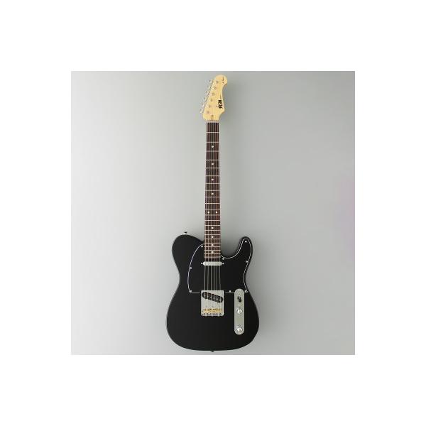 ふるさと納税 西興部村 エレキギター FGN NTE100RAL-BK : Yahoo