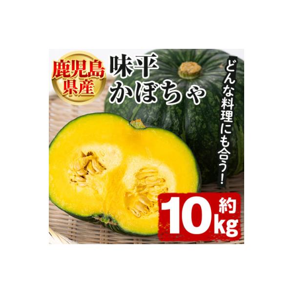 ■お礼品詳細　・配送種別：通常■お申し込み・配送・その他　・発送時期：2026-05-10〜2026-06-20（お届け時間帯指定可）　・申込受付期間：〜2026-06-14　・配達外のエリア：　・寄付証明書の送付時期目安：申込完了日から２...