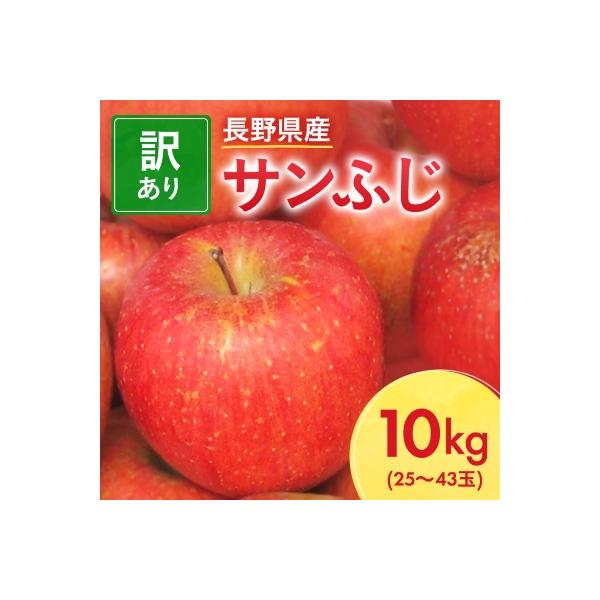 ふるさと納税 中野市 【先行受付】長野県産 サンふじ りんご 家庭用 訳あり 10kg(25〜43玉)