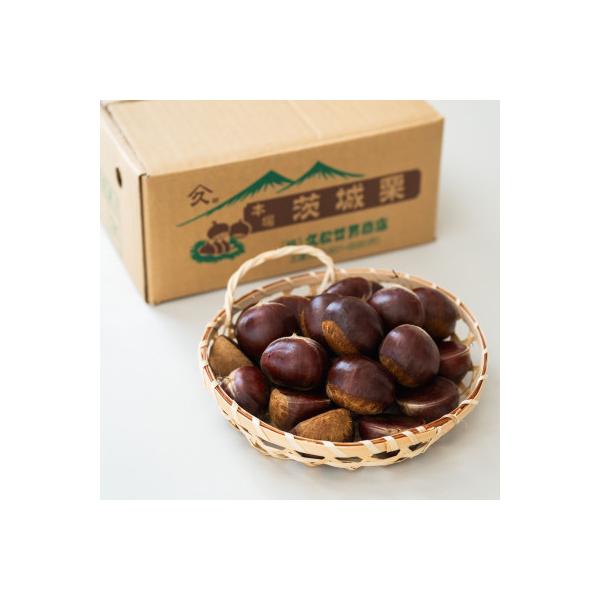 ふるさと納税 かすみがうら市 茨城県かすみがうら市産　熟成倉方栗(生栗)約2kg〈2026年11月中旬より順次発送予定〉