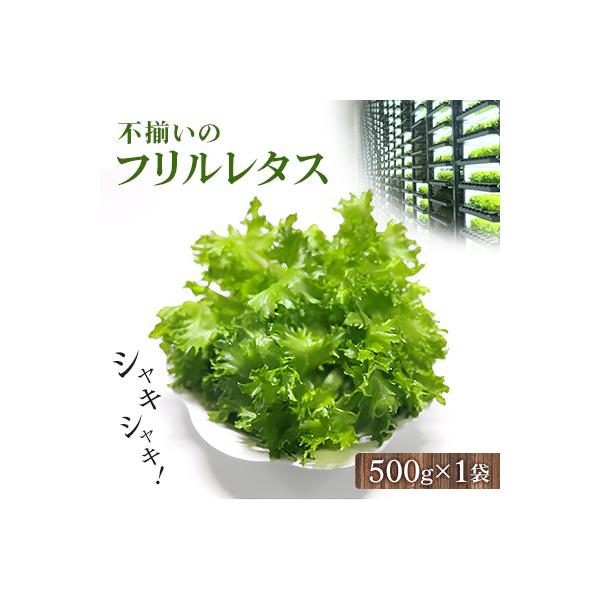 ■お礼品詳細　・配送種別：冷蔵便■お申し込み・配送・その他　・発送時期：2026-01-08より順次発送 ※生産・天候・交通等の事情により遅れる場合があります。（お届け時間帯指定可）　・申込受付期間：通年　・配達外のエリア：離島　・寄付証明...