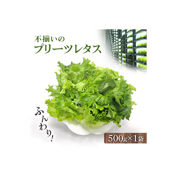 ■お礼品詳細　・配送種別：冷蔵便■お申し込み・配送・その他　・発送時期：2026-01-08より順次発送 ※生産・天候・交通等の事情により遅れる場合があります。（お届け時間帯指定可）　・申込受付期間：通年　・配達外のエリア：離島　・寄付証明...