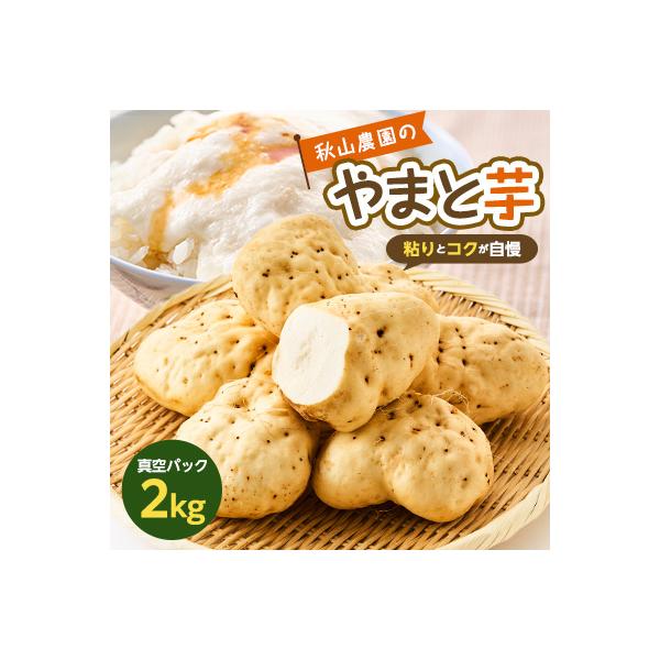 ■お礼品詳細　・配送種別：通常■お申し込み・配送・その他　・発送時期：〜2026-03-27（お届け時間帯指定可）　・申込受付期間：〜2026-03-21　・配達外のエリア：　・寄付証明書の送付時期目安：申込完了日から２週間程度　・提供元：...