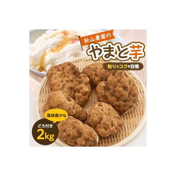 ■お礼品詳細　・配送種別：通常■お申し込み・配送・その他　・発送時期：〜2026-03-27（お届け時間帯指定可）　・申込受付期間：〜2026-03-21　・配達外のエリア：　・寄付証明書の送付時期目安：申込完了日から２週間程度　・提供元：...