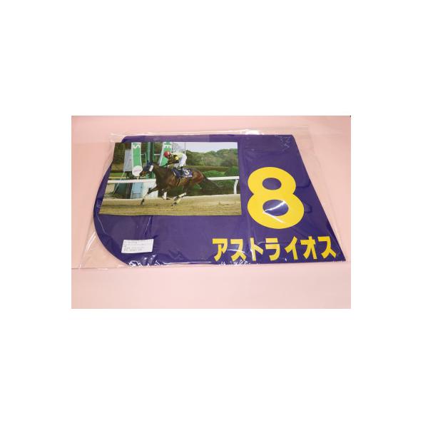 競馬場で買ったものやもらったものの詰め合わせ 米G1・2勝馬の仔を1億7000万円で落札した今福洋介氏 「実は