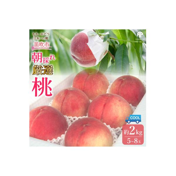 ■お礼品詳細　・配送種別：冷蔵便■お申し込み・配送・その他　・発送時期：2026-06-20〜2026-09-10（お届け時間帯指定可）　・申込受付期間：〜2026-08-29　・配達外のエリア：離島、沖縄県　・寄付証明書の送付時期目安：申...