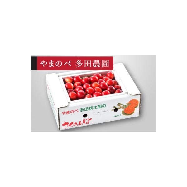 ふるさと納税 山辺町 《先行受付》2027年 山形県産 紅さやか バラ詰(パック) 500g