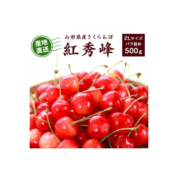 ふるさと納税 寒河江市 【2027年産・先行受付】山形県産 さくらんぼ 紅秀峰 約500g 大粒2Lサイズ以上 バラ詰め
