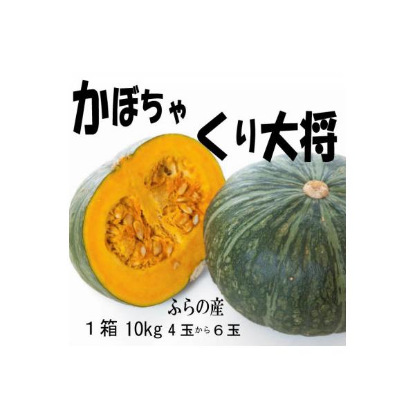 ■お礼品詳細　・配送種別：通常■お申し込み・配送・その他　・発送時期：2026-08-25〜2026-09-30（お届け時間帯指定可）　・申込受付期間：〜2026-08-25　・配達外のエリア：　・寄付証明書の送付時期目安：申込完了日から１...