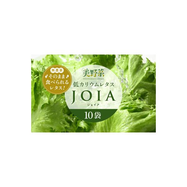 ■お礼品詳細　・配送種別：冷蔵便■お申し込み・配送・その他　・発送時期：2026-01-08より順次発送 ※生産・天候・交通等の事情により遅れる場合があります。（お届け時間帯指定可）　・申込受付期間：通年　・配達外のエリア：離島　・寄付証明...