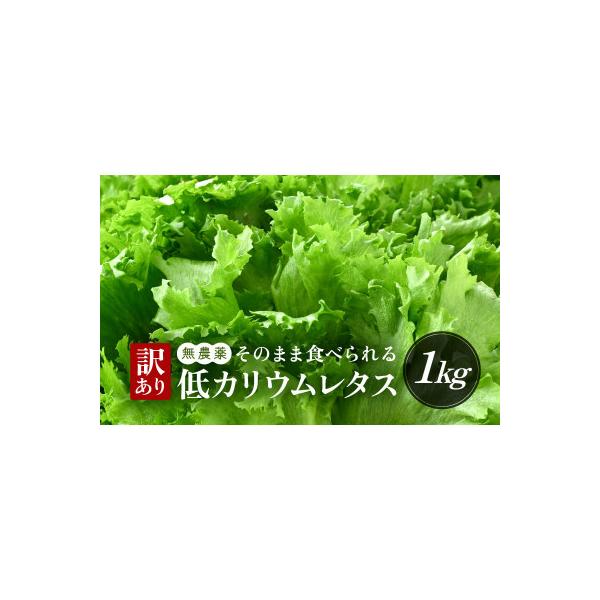 ■お礼品詳細　・配送種別：冷蔵便■お申し込み・配送・その他　・発送時期：お申込みから1週間程度で順次発送予定（お届け時間帯指定可）　・申込受付期間：通年　・配達外のエリア：離島　・寄付証明書の送付時期目安：申込完了日から２週間程度　・提供元...