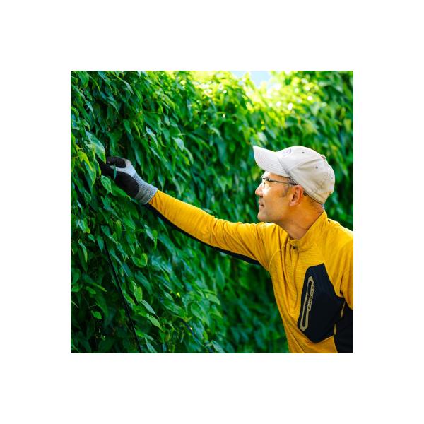 ■お礼品詳細　・配送種別：冷蔵便■お申し込み・配送・その他　・発送時期：2025-12-01〜2026-03-30（お届け時間帯指定可）　・申込受付期間：〜2026-03-08　・配達外のエリア：離島　・寄付証明書の送付時期目安：申込完了日...