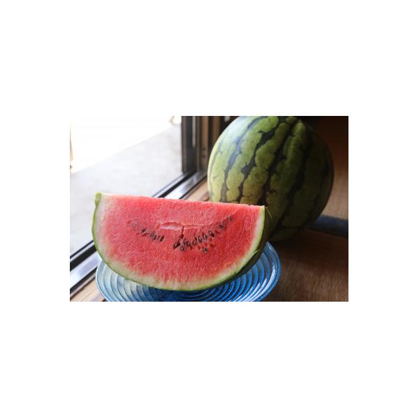 ■お礼品詳細　・配送種別：通常■お申し込み・配送・その他　・発送時期：2026-07-10〜2026-08-10（お届け時間帯指定可）　・申込受付期間：2025-09-15〜2026-07-10　・配達外のエリア：離島、沖縄県　・寄付証明書...