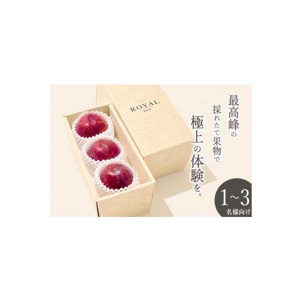 ■お礼品詳細　・配送種別：通常■お申し込み・配送・その他　・発送時期：2026-07-15〜2026-08-31（お届け時間帯指定可）　・申込受付期間：〜2026-07-25　・配達外のエリア：　・寄付証明書の送付時期目安：申込完了日から２...