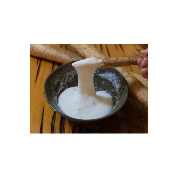 ■お礼品詳細　・配送種別：冷凍便■お申し込み・配送・その他　・発送時期：2026-01-05より順次発送 ※生産・天候・交通等の事情により遅れる場合があります。（お届け時間帯指定可）　・申込受付期間：通年　・配達外のエリア：離島　・寄付証明...