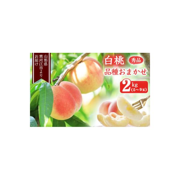 ■お礼品詳細　・配送種別：冷蔵便■お申し込み・配送・その他　・発送時期：2026-08-01〜2026-09-30（お届け時間帯指定可）　・申込受付期間：〜2026-09-12　・配達外のエリア：離島、沖縄県　・寄付証明書の送付時期目安：申...