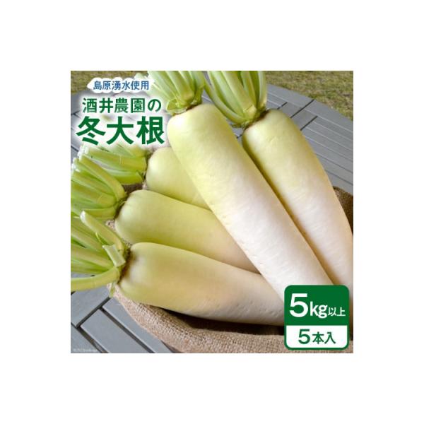 ■お礼品詳細　・配送種別：通常■お申し込み・配送・その他　・発送時期：2025-12-15〜2026-02-28（お届け時間帯指定可）　・申込受付期間：〜2026-02-01　・配達外のエリア：離島、北海道、沖縄県、東北　・寄付証明書の送付...