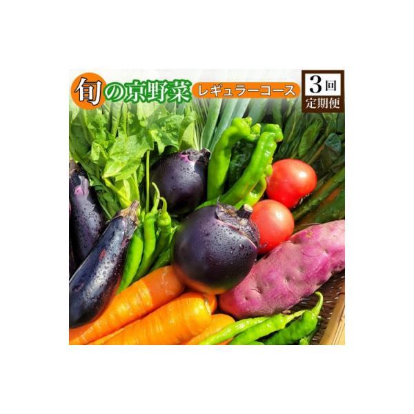 ■お礼品詳細　・配送種別：通常■お申し込み・配送・その他　・発送時期：お申込みから1週間程度で順次発送予定（お届け時間帯指定可）　・申込受付期間：通年　・配達外のエリア：離島、沖縄県　・寄付証明書の送付時期目安：申込完了日から２週間程度　・...