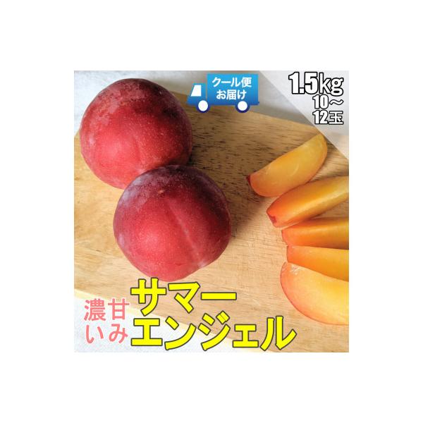 ■お礼品詳細　・配送種別：冷蔵便■お申し込み・配送・その他　・発送時期：2026-07-06〜2026-07-30（お届け時間帯指定可）　・申込受付期間：〜2026-07-14　・配達外のエリア：離島、北海道、沖縄県、中国、四国、九州　・寄...