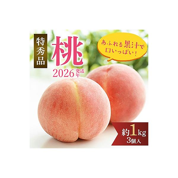 ■お礼品詳細　・配送種別：冷蔵便■お申し込み・配送・その他　・発送時期：2026-06-25〜2026-08-25（お届け時間帯指定可）　・申込受付期間：2025-08-01〜2026-06-20　・配達外のエリア：離島　・寄付証明書の送付...