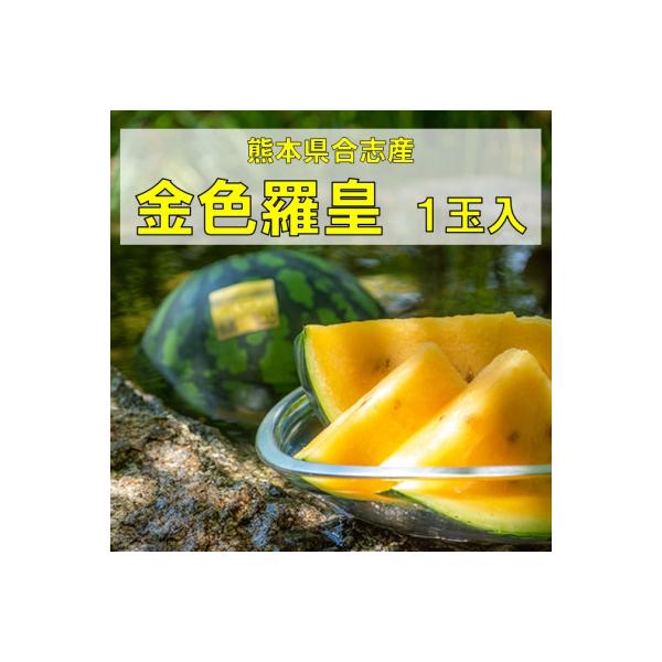 ■お礼品詳細　・配送種別：通常■お申し込み・配送・その他　・発送時期：2026-05-11〜2026-06-30（お届け時間帯指定可）　・申込受付期間：2025-09-01〜2026-05-10　・配達外のエリア：　・寄付証明書の送付時期目...