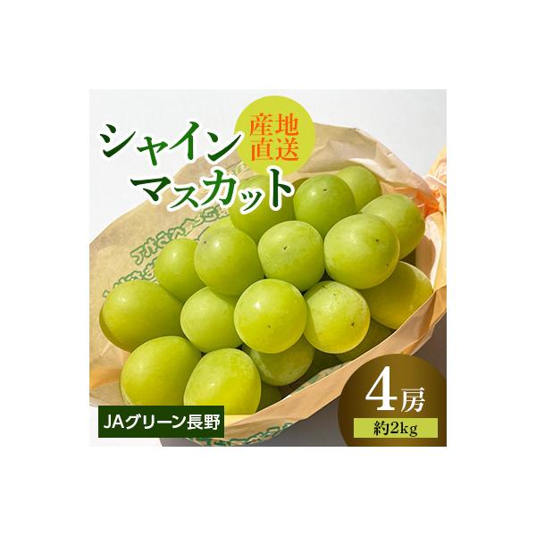 ふるさと納税 長野市 JAグリーン長野 シャインマスカット 4房(約2kg