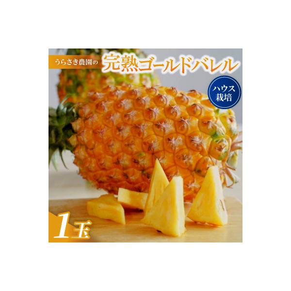 ■お礼品詳細　・配送種別：冷蔵便■お申し込み・配送・その他　・発送時期：2026-06-15〜2026-07-12（お届け時間帯指定可）　・申込受付期間：〜2026-06-30　・配達外のエリア：離島　・寄付証明書の送付時期目安：申込完了日...