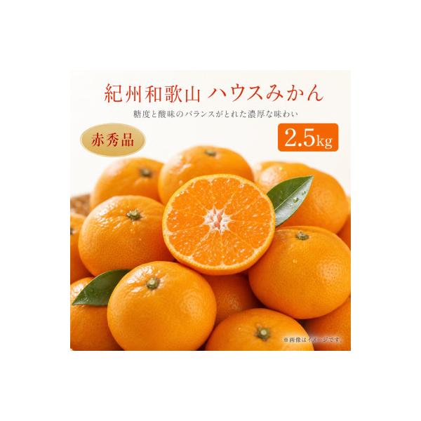 ふるさと納税 日高川町 赤秀品 紀州和歌山ハウスみかん約2.5kg : Yahoo