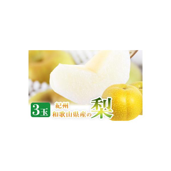 ■お礼品詳細　・配送種別：通常■お申し込み・配送・その他　・発送時期：2026-08-11〜2026-09-10（お届け時間帯指定可）　・申込受付期間：2025-09-20〜2026-08-25　・配達外のエリア：離島、北海道、沖縄県　・寄...