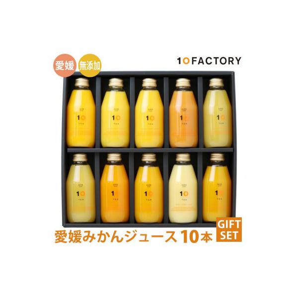 ふるさと納税 松山市 愛媛みかん 果汁100%ストレートジュース ギフト