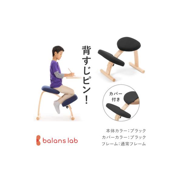 ふるさと納税 美濃市 バランス イージー 通常フレーム(カバー付き