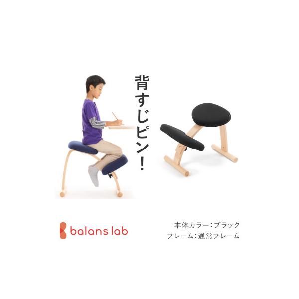 ふるさと納税 美濃市 バランス イージー 通常フレーム バランスチェア