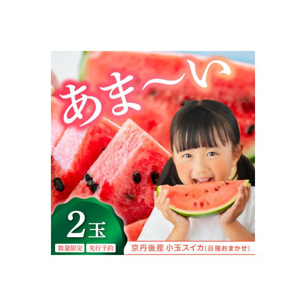 ■お礼品詳細　・配送種別：通常■お申し込み・配送・その他　・発送時期：2026-07-01〜2026-07-31（お届け時間帯指定可）　・申込受付期間：〜2026-07-15　・配達外のエリア：離島、北海道、沖縄県　・寄付証明書の送付時期目...