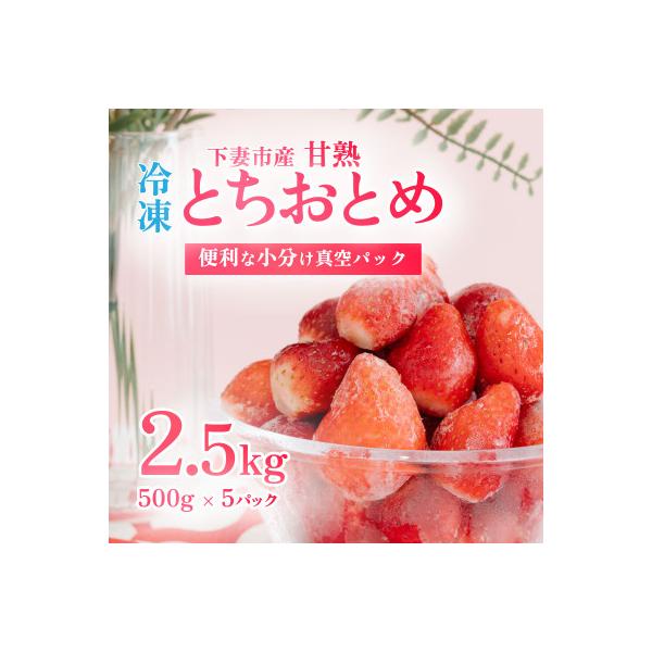 ふるさと納税 下妻市 訳あり下妻産 Ben‘s Berry 完熟冷凍いちご 2.5kg(500g×5パック)