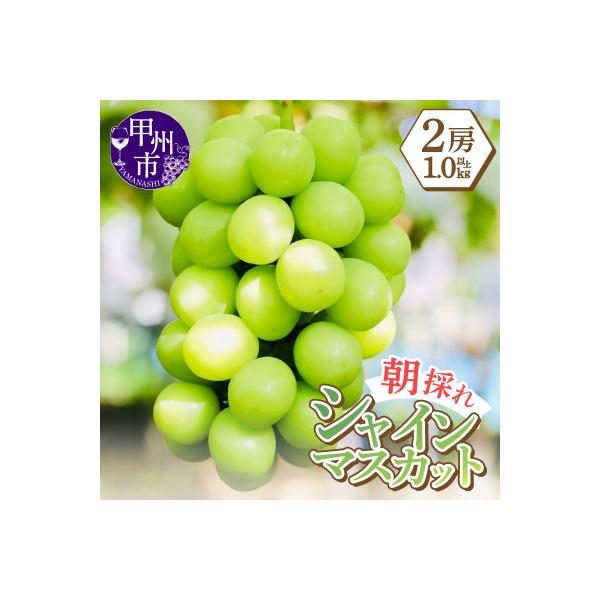 ■お礼品詳細　・配送種別：通常■お申し込み・配送・その他　・発送時期：2026-08-20〜2026-10-10（お届け時間帯指定可）　・申込受付期間：〜2026-09-30　・配達外のエリア：離島、沖縄県　・寄付証明書の送付時期目安：申込...