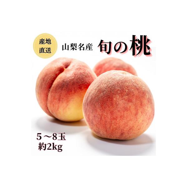 ■お礼品詳細　・配送種別：冷蔵便■お申し込み・配送・その他　・発送時期：2026-06-25〜2026-08-15（お届け時間帯指定可）　・申込受付期間：〜2026-07-31　・配達外のエリア：離島、沖縄県　・寄付証明書の送付時期目安：申...