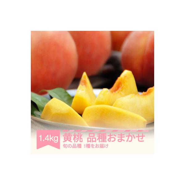 ■お礼品詳細　・配送種別：通常■お申し込み・配送・その他　・発送時期：2026-08-10〜2026-09-30（お届け時間帯指定可）　・申込受付期間：〜2026-09-11　・配達外のエリア：離島、北海道、沖縄県、信越、北陸、東海、近畿、...