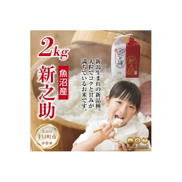 ふるさと納税 十日町市 【令和7年産】 【新品種】 魚沼産 新之助 2kg